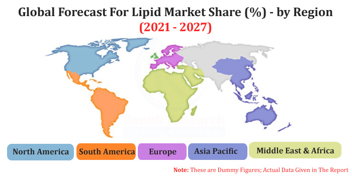 Lipid Market Size, Share, Global Forecast 2021-2027